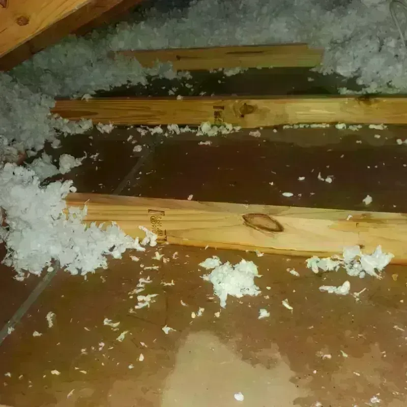 Attic Water Damage in Orange Grove, TX